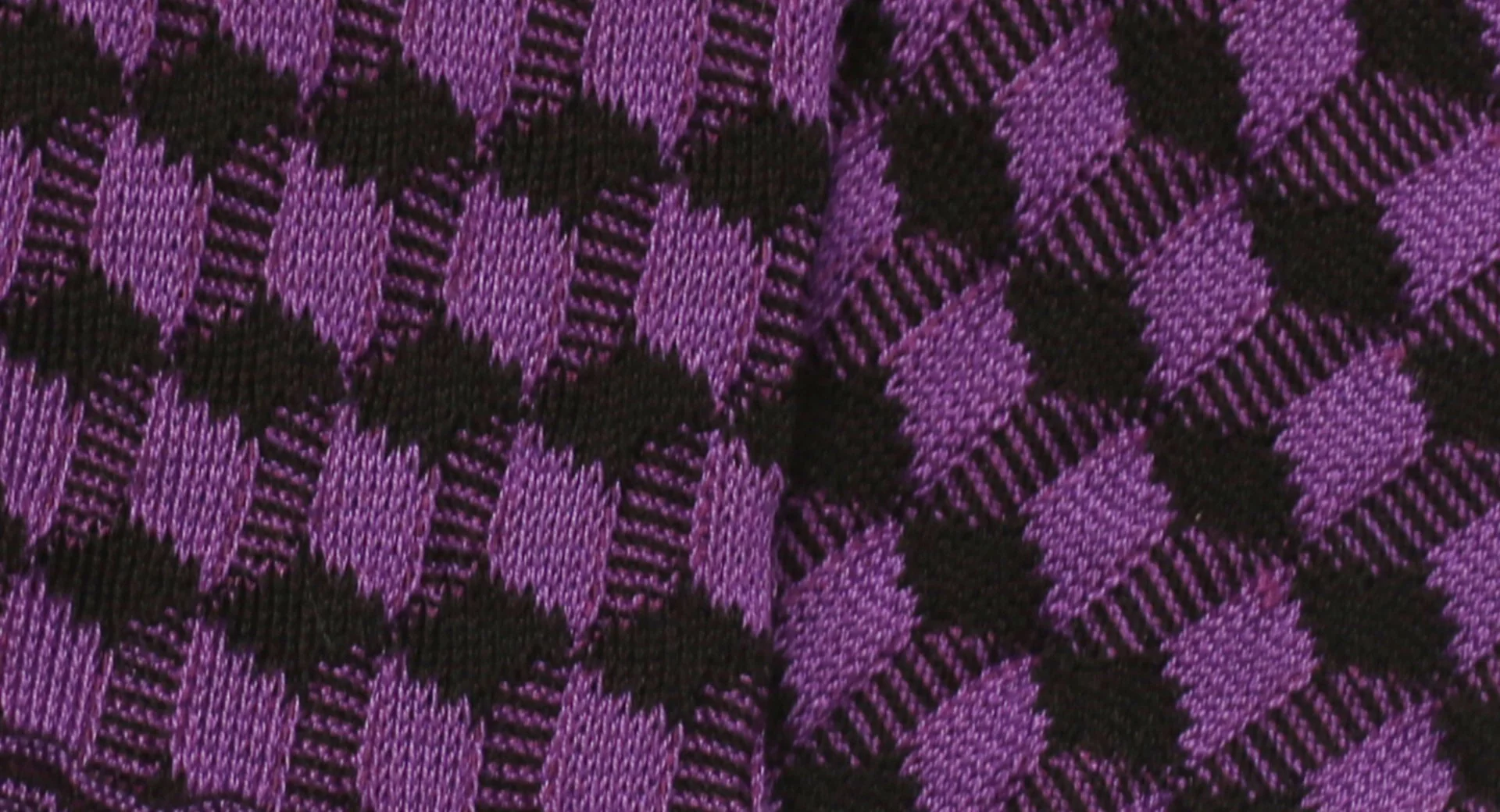 Porcara Purple 6 Porcara Purple