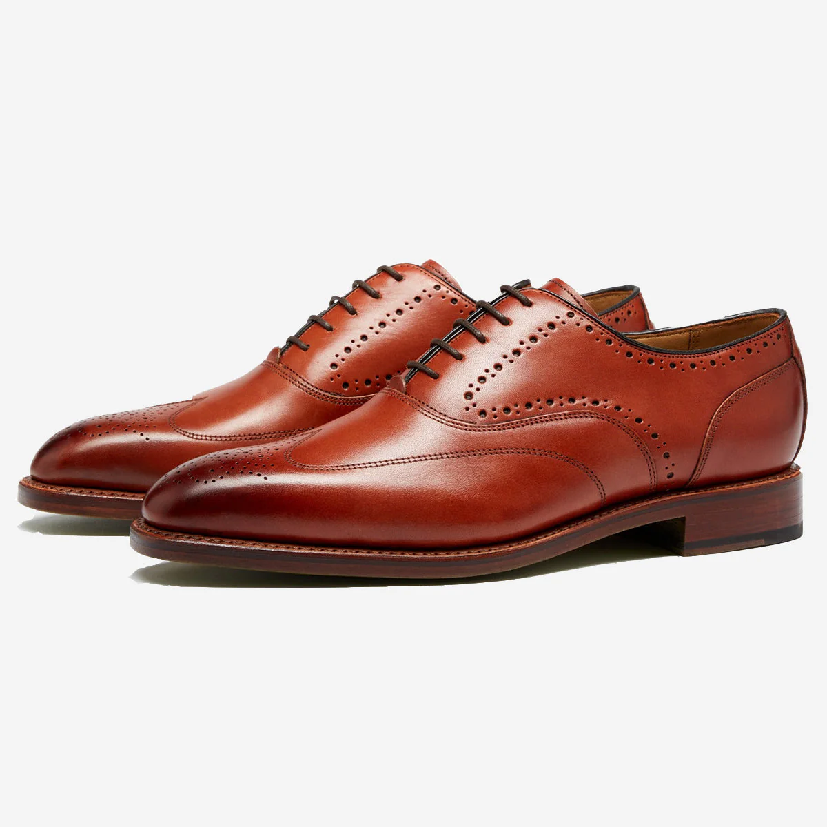 Annsborough Dark Tan 1 Annsborough Dark Tan